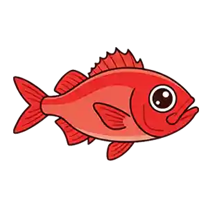 Splendid Alfonsino