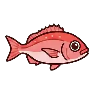 Red Sea Bream